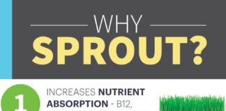 Health infographic : Sprout Guide: How to Sprout Grains, Nuts and Beans