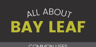 Health infographic : The Ancient Greek Goddess Nike Loved Bay Leaves – Turns Out They Also Keep Candida from Attaching to Your Cell Walls