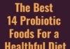 Health infographic : The Best Probiotic Foods You Should Eat