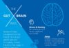 Health infographic : The Gut Brain Axis: How gut health and mental health are connected