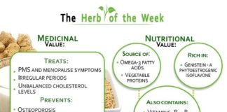 Health infographic : The Herb Of The Week Soy – nutritional & medicinal benefits. Treats PMS & Menopa…