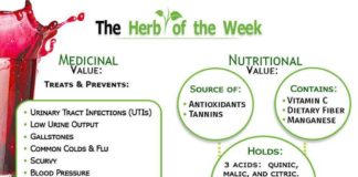 Health infographic : The Herb Of The Week – Cranberry. Medicinal value – Treats prevents – UITs, Lo…