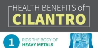 Health infographic : The Herb that Benefits the Heart, Brain & Heart