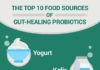 Health infographic : The Top 10 Food Sources Of Gut-Healing Probiotics – Positive Health Wellness I…