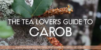 Health infographic : The chocolate-flavored carob is a naturally sweet and highly nutritious herb tha…