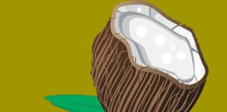 Health infographic : What Will Happen If You Drink Coconut Water Every Day