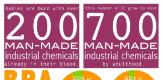 Health infographic : What is body burden?