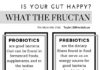 Health infographic : What the Fructan? – Are you Keeping your Gut Happy and Healthy