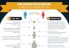 Health infographic : Why Everything We Were Taught About Digestion, Metabolism & Immunity Is Wrong (Infographic)