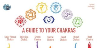 Health infographic : infographic113.jpg (620×1600)