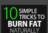 Healthcare infographic : 10 Simple Tricks To Burn Fat Naturally And Without Exercise