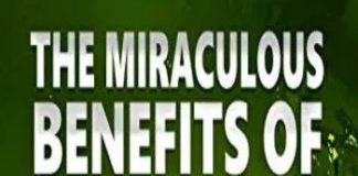 Healthcare infographic : All about Hemp Oil and Its Uses – Something Logical