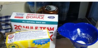 Healthcare infographic : Do-It-Yourself Experiment #4: Homemade Powdered Laundry Soap