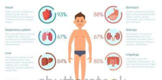 Healthcare infographic : Healthcare infographic elements with human different organs set. Medicine vector…
