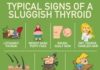 Healthcare infographic : Hypothyroidism is one of the most common, preventable disorders associated with …