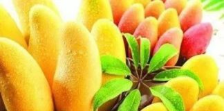 Healthcare infographic : Mango is good for diabetes? Dietitians on why you shouldn’t have more than a s…