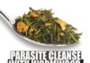 Healthcare infographic : Parasite Cleanse With Wormwood: The Superb Herb That Kills Cancer Cells