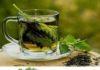 Healthcare infographic : Parsley Tea Against Urinary Infection – Something Logical