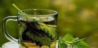 Healthcare infographic : Parsley Tea Against Urinary Infection – Something Logical