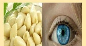 Healthcare infographic : Use Pressed Garlic To Reverse Loss Of Vision Without Glasses Or Surgery – Health…