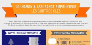 Healthcare infographic : lesfurets-infographie-loi-hamon-emprunteur