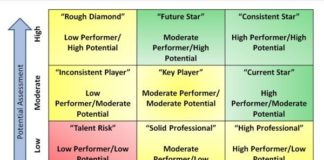 Management : Management : 9 box grid..development board…