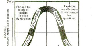 Digital Marketing : Memoire Online – Valeurs managériales, styles de direction et changement organi…