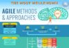 Management : THE MOST WELL KNOWN AGILE METHODS & APPROACHES INFOGRAPHIC