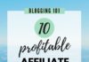 Marketing strategies : 10 Affiliate Marketing Strategies to Boost Your Blog Income