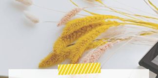 Marketing strategies : Comment créer une landing page avec WordPress