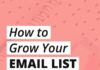 Marketing strategies : Ebook: How to Grow Your Email List With a Free Challenge