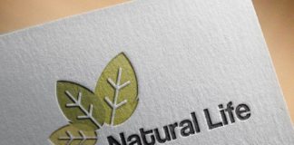 Medical infographic : 4 Natural Life Green Leaf Logo. Medical Infographic