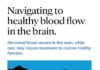 Medical infographic : Abnormal blood vessels in the brain, while rare, may require treatment to restor…
