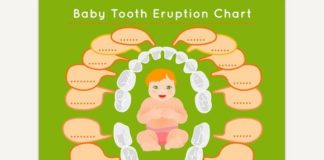 Medical infographic : Baby Tooth Arrival Poster. Graphic Design Infographics. $3.00