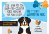 Medical infographic : Can I Give My Dog Over the Counter Pain Medicine? | petMD