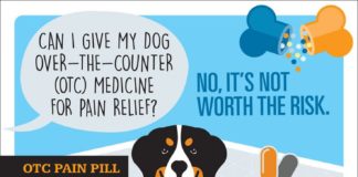 Medical infographic : Can I Give My Dog Over the Counter Pain Medicine? | petMD