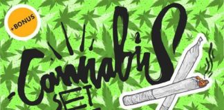 Medical infographic : Cannabis BIG Set. Pattern Vectors