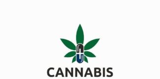 Medical infographic : Cannabis Capsule. Medical Infographic