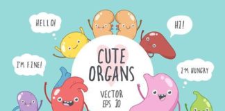 Medical infographic : Cute Organs. Medical Infographic