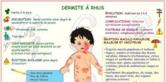 Medical infographic : Dermithe à Rhus