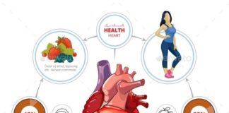 Medical infographic : Heart medical vector infographics. Organ and nutrition for healthcare, vegetable…