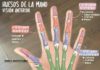 Medical infographic : Huesos de la mano
