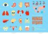 Medical infographic : Human Organs Flat Set. Medical Infographic