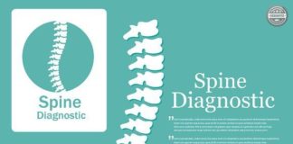 Medical infographic : Human spine. Logo element. Medical Infographic