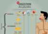Medical infographic : La digestion des glucides : comment ça fonctionne ? #mincir #maigrir #pertedepo…