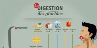 Medical infographic : La digestion des glucides : comment ça fonctionne ? #mincir #maigrir #pertedepo…