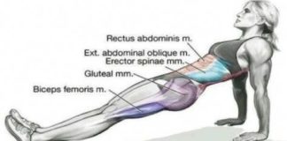 Medical infographic : Losing Weight Endomorph Body Type #HealthcareInfographics