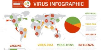 Medical infographic : Medical disease infographic vector. Medical Infographic. $5.00