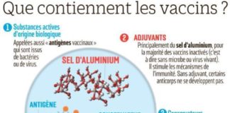 Medical infographic : Medical infographic : –