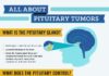 Medical infographic : Medical infographic : 489a4ae5bd2c19c1647053788a3370ee.jpg (736×2461)